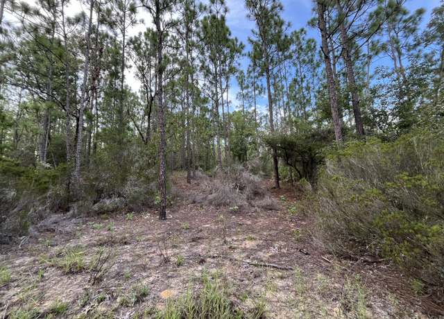 Property at 124 New York Ave, Interlachen, FL 32148