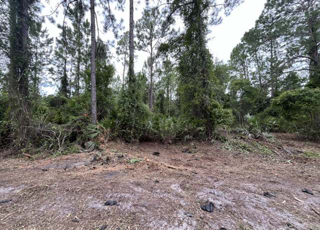 Property at 147 Roebuck St, Georgetown, FL 32139
