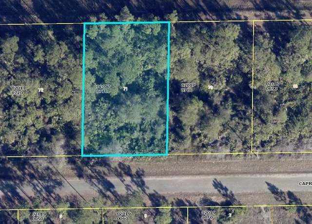 Property at 1113 Capri St E, Lehigh Acres, FL 33974