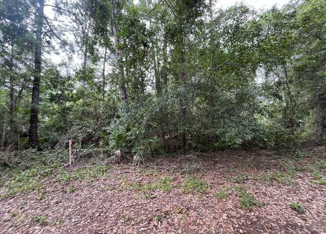 Property at 223 Ward Ave, Crescent City, FL 32112