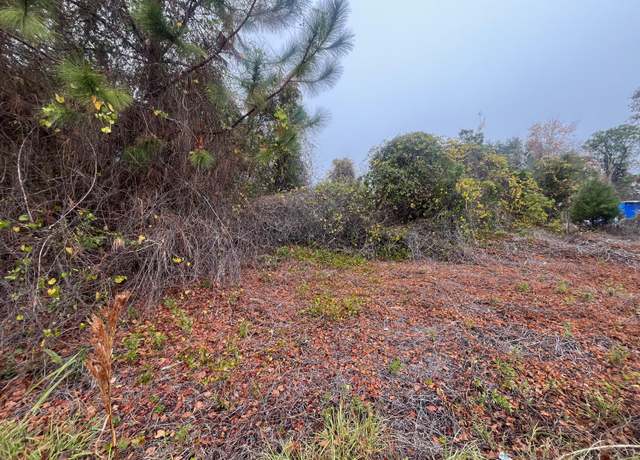 Property at 512 Dogwood Ave, Georgetown, FL 32139