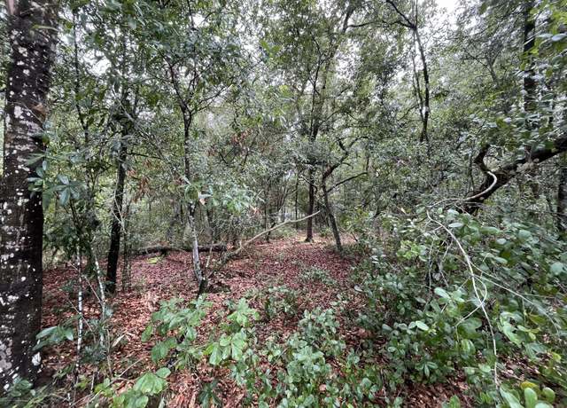 Property at Tbd Rintz St, Interlachen, FL 32148