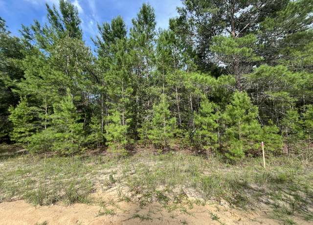 Property at Tbd Neisman Ave, Interlachen, FL 32148
