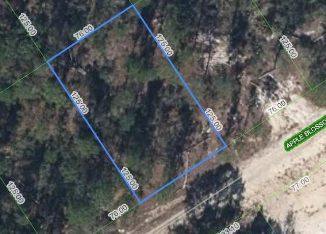 Property at 440 Apple Blossom Ct, Lake Placid, FL 33852