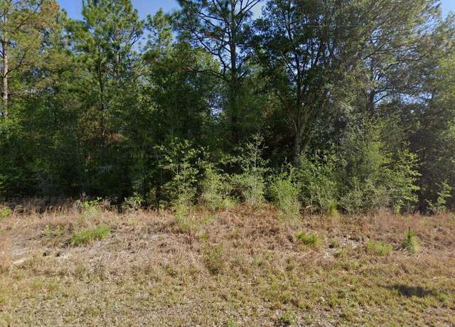 Property at 20313 SW Audubon Ave Lot 29, Dunnellon, FL 34431