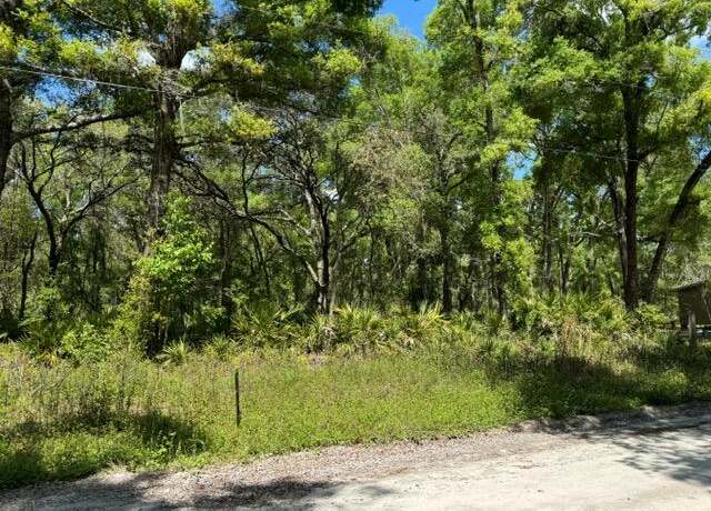 Property at Tbd NE 472nd Ave, Old Town, FL 32680