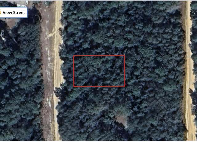 Property at Tbd Louise Ave, Interlachen, FL 32148