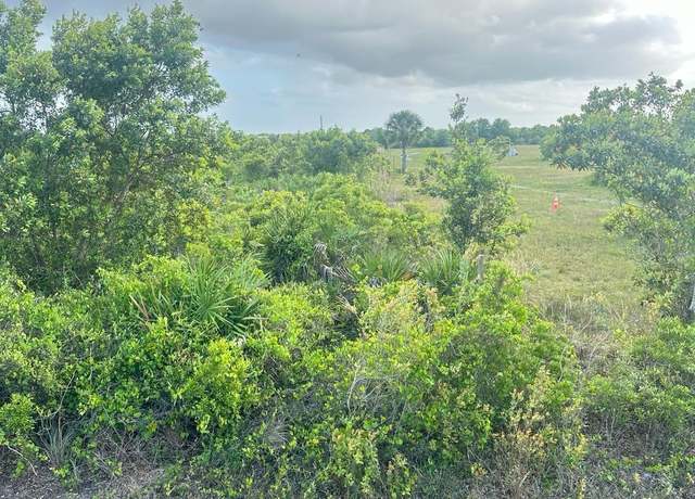 Property at 16220 NW 264th St, Okeechobee, FL 34972