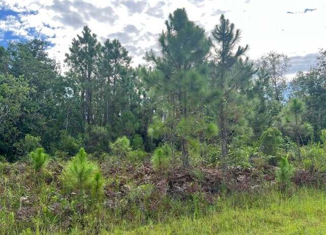 Property at 1131 Greenfield St, Lake Placid, FL 33852