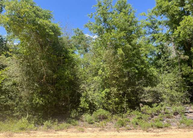 Property at 0 Hocking St, Alford, FL 32420