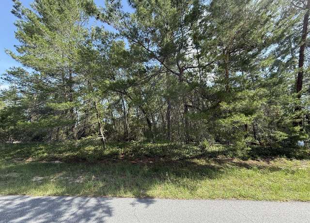 Property at Tbd SW 176th St, Marion Oaks, FL 34473