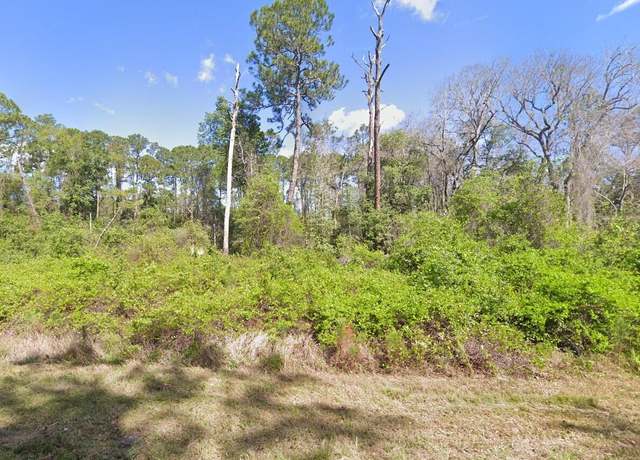 Property at 204 Hazel Ave, Georgetown, FL 32139