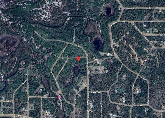 Property at 103 Clay Trl, Interlachen, FL 32148
