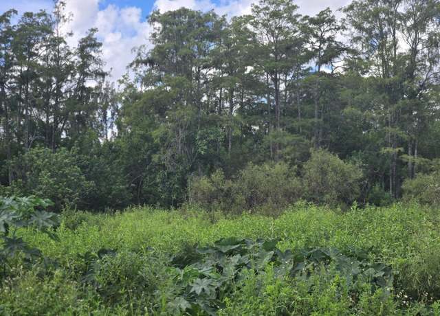 Property at 16570 61st Pl N, The Acreage, FL 33470