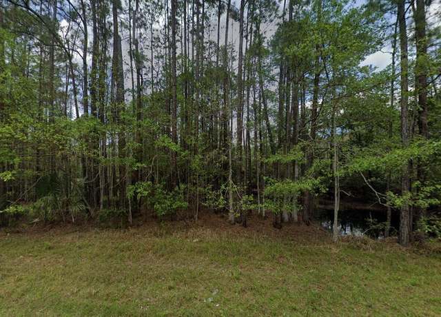 Property at 242 Lakeway Dr, Georgetown, FL 32139