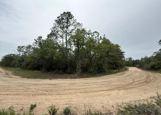 Property at 111 Brass St, Interlachen, FL 32148