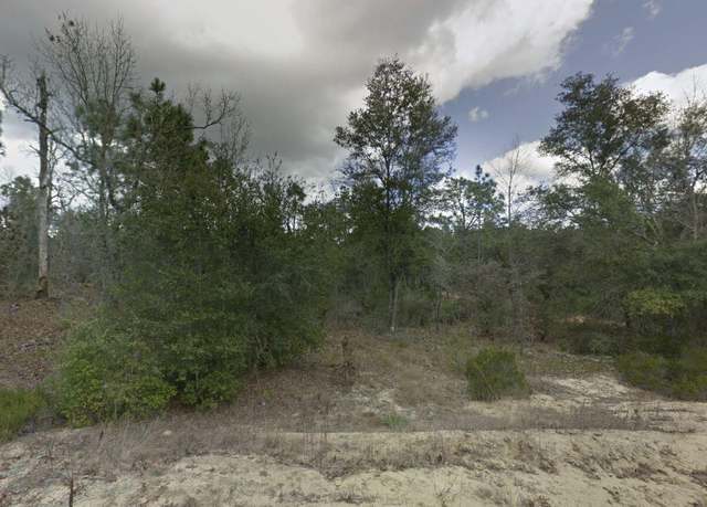 Property at 187 Paris St, Interlachen, FL 32148