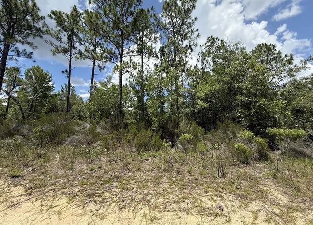 Property at 187 Paris St, Interlachen, FL 32148