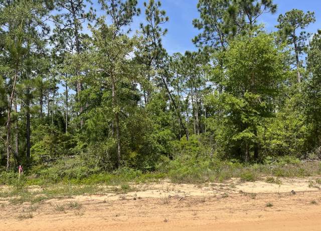 Property at 0 Holly Springs Ave, Alford, FL 32420