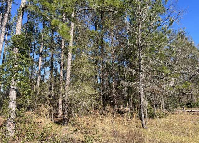 Property at 115 Click Rd, Satsuma, FL 32189