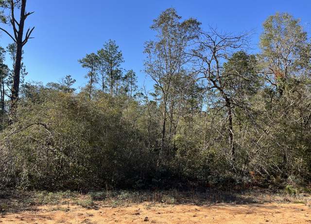 Property at Tbd Apalachicola Ave, Alford, FL 32420