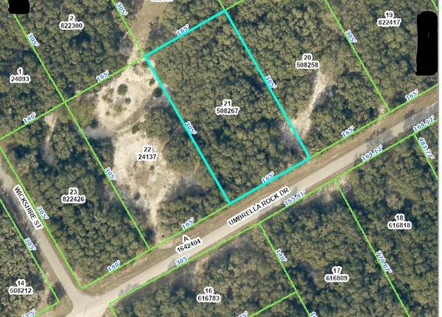 Property at 0 Umbrella Rock Dr, Webster, FL 33597