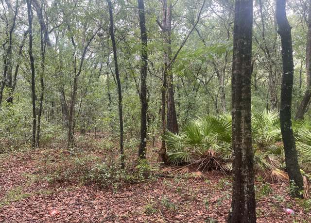 Property at Tbd Delaware Ave, Interlachen, FL 32148