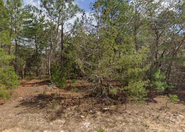 Property at 217 Shappell Ave, Interlachen, FL 32148