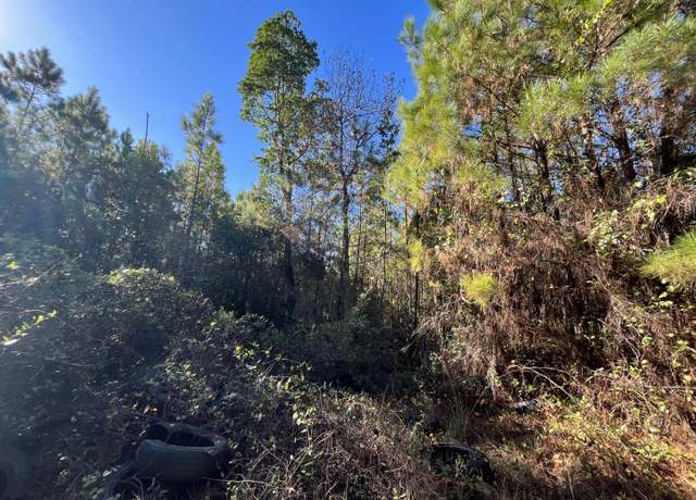Property at 223 Mourning Dove Rd, Satsuma, FL 32189