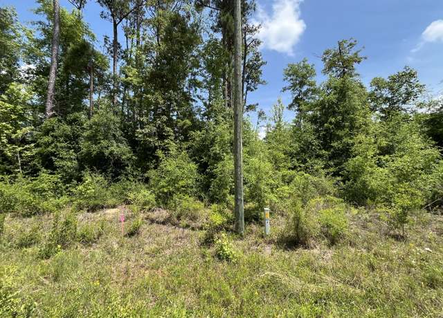 Property at Tbd Magnolia Ln, Marianna, FL 32448