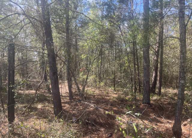 Property at Tbd Martha Dr, Interlachen, FL 32148