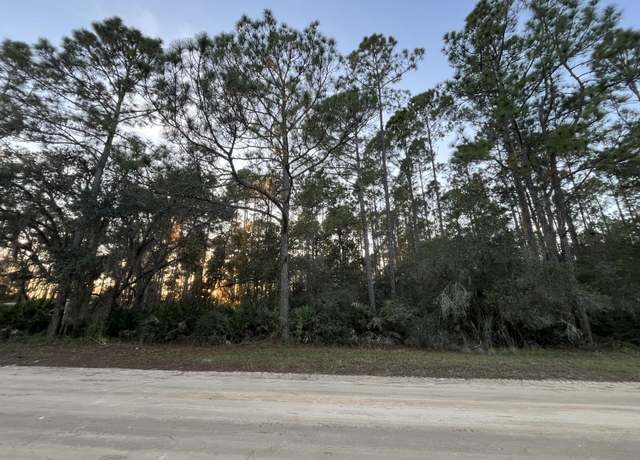 Property at Tbd Royal Ave, Interlachen, FL 32148