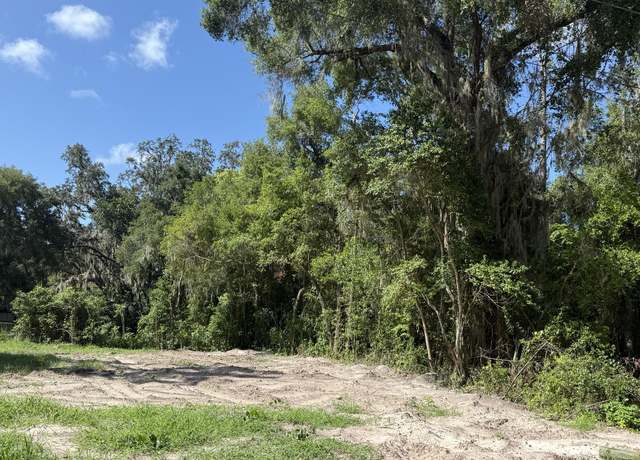 Property at 115 Roddy Ln, Palatka, FL 32177