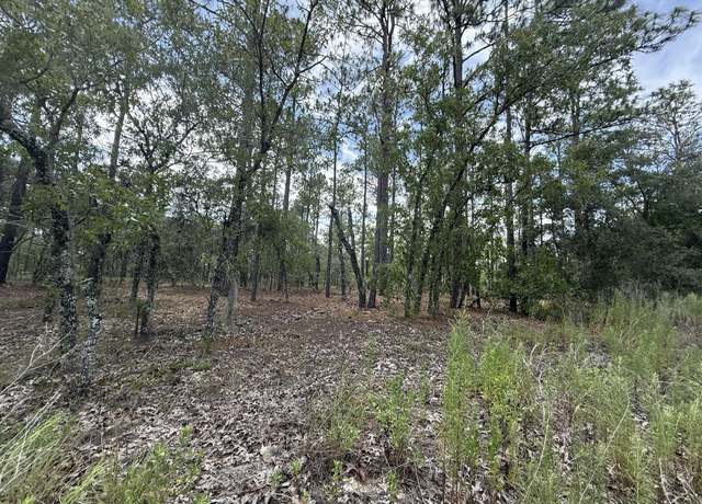 Property at Tbd NW Tree Top Rd, Dunnellon, FL 34431