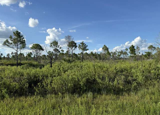 Property at 15827 NW 272nd St, Okeechobee, FL 34972