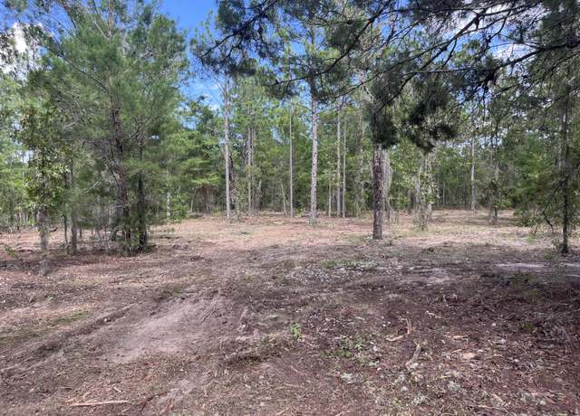 Property at 321 Himalayan St, Interlachen, FL 32148