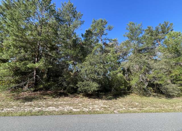 Property at 0 SW 34th Ter, Ocala, FL 34473
