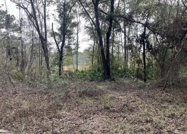 Property at 150 Quail Dr, Interlachen, FL 32148