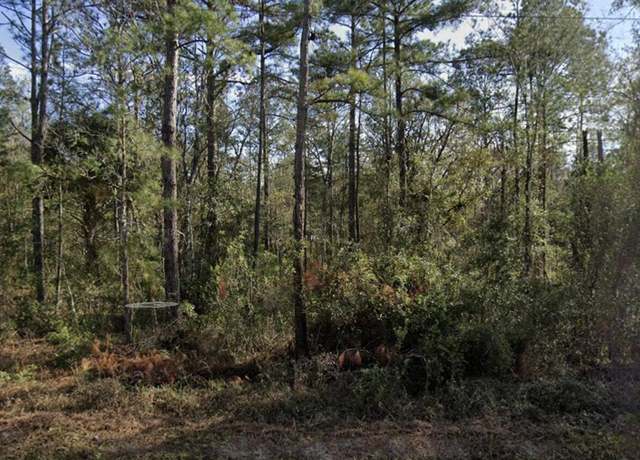 Property at 10230 Turpin Ave, Hastings, FL 32145