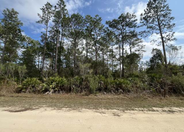 Property at 206 Royal Ave, Interlachen, FL 32148