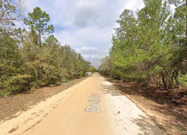 Property at Tbd Brett Ave, Interlachen, FL 32148
