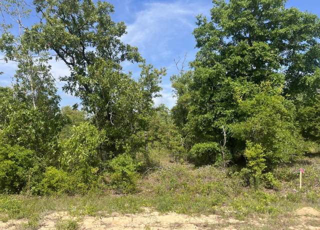 Property at Tbd Rome Ave, Alford, FL 32420