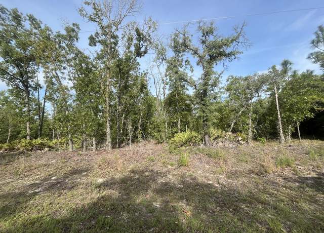 Property at 1321 W Delores Dr, Citrus Springs, FL 34434