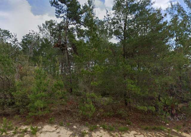 Property at 214 Neilsen Ave, Interlachen, FL 32148