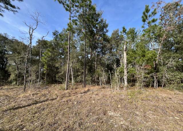 Property at 6168 Emory Ave, Keystone Heights, FL 32656