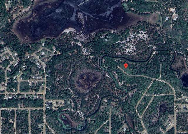 Property at 262 Brussels Ave, Interlachen, FL 32148