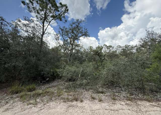 Property at 262 Brussels Ave, Interlachen, FL 32148