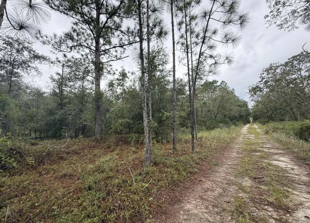 Property at 0 NE 83rd Ln, Bronson, FL 32621