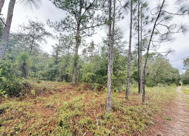 Property at 0 NE 83rd Ln, Bronson, FL 32621