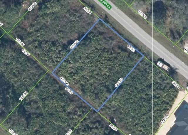 Property at 7034 San Bruno Dr, Sebring, FL 33872